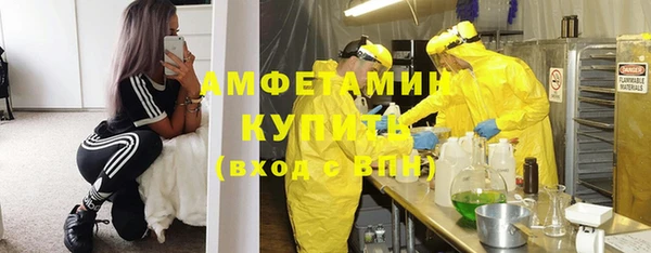 молекула духа Алексин