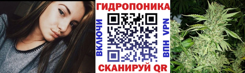 Бошки марихуана гибрид  ссылка на мегу   Архангельск 